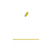 Flik Logo